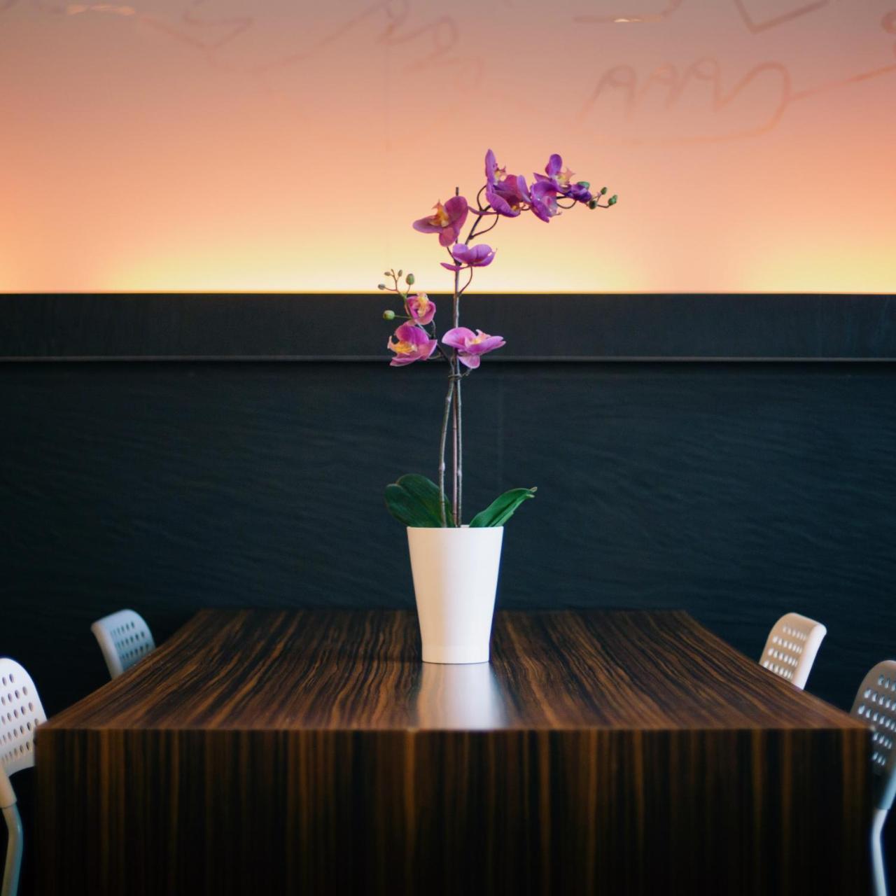 Petit Palace Tamarises Hotel Getxo