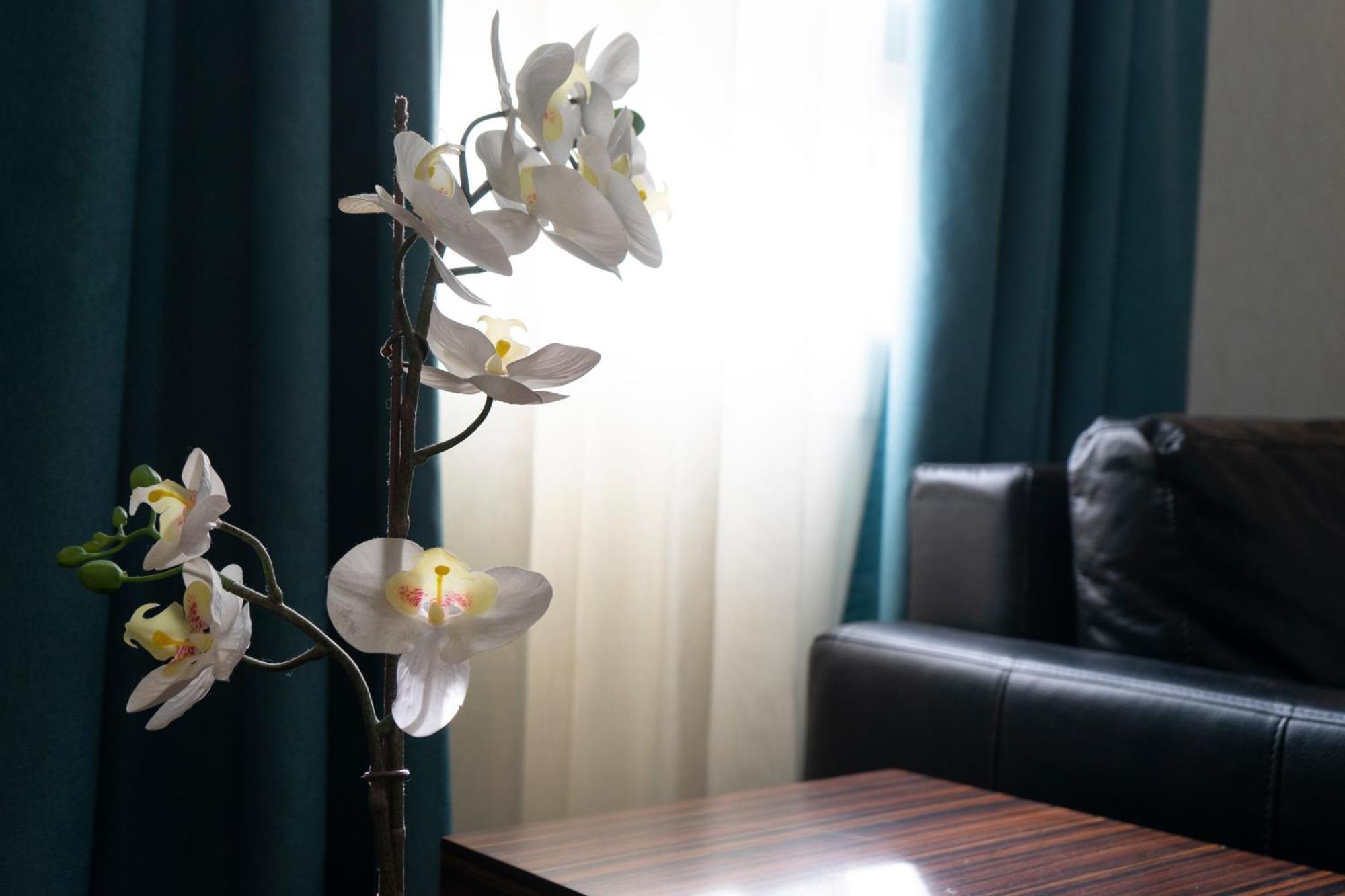 Petit Palace Tamarises 3*